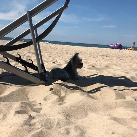 شقة Baltic Blue *